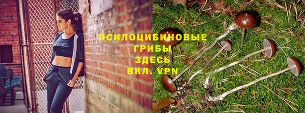 сатива Абаза