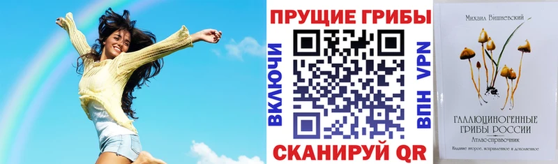 хочу   Дербент  Псилоцибиновые грибы Psilocybe 