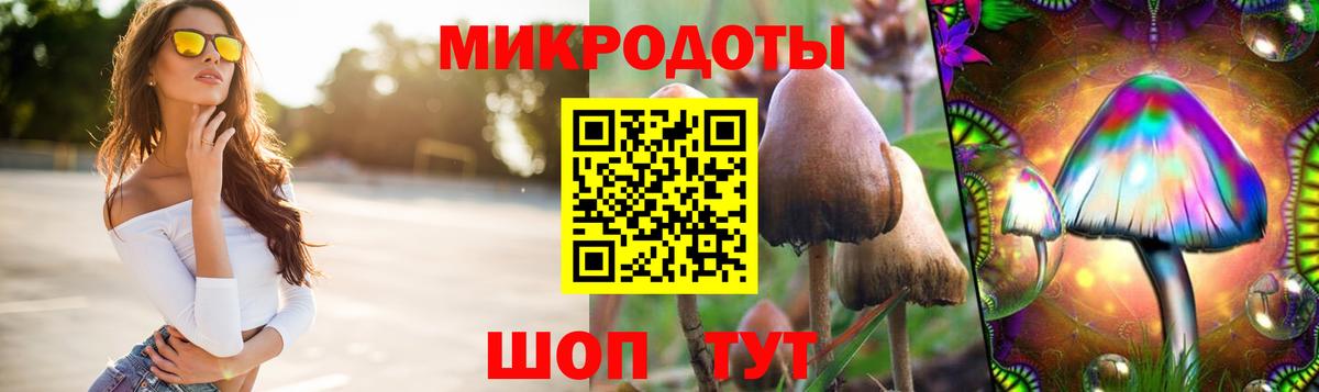 магазин  наркотиков  Псилоцибиновые грибы MAGIC MUSHROOMS  Псилоцибиновые грибы мухоморы  Вход с VPN  Дербент 